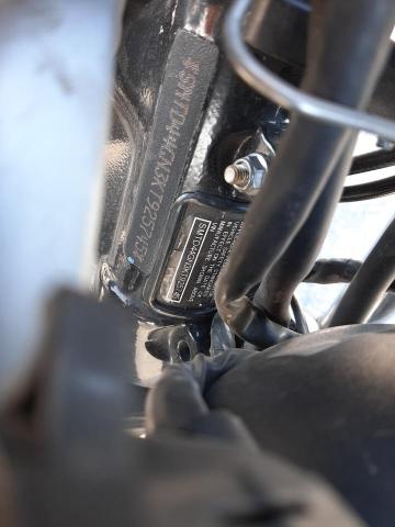 2019 TRIUMPH MOTORCYCLE STREET SCR SMTD44GN3KT925745