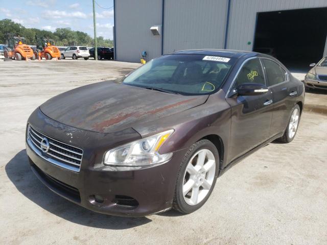 1N4AA5AP1BC821464 Nissan Maxima S 2011. Фото: 1