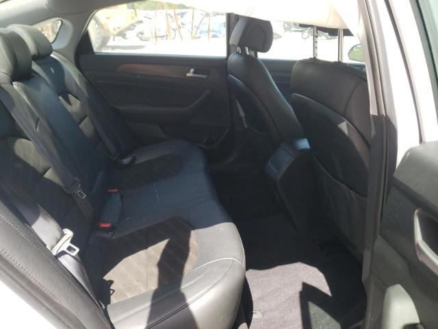 2017 HYUNDAI SONATA SPO 5NPE34AF7HH455014