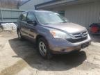 2010 HONDA  CRV