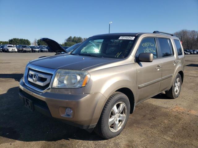 5FNYF48569B039523 Honda Pilot Exl 2009. Фото: 1