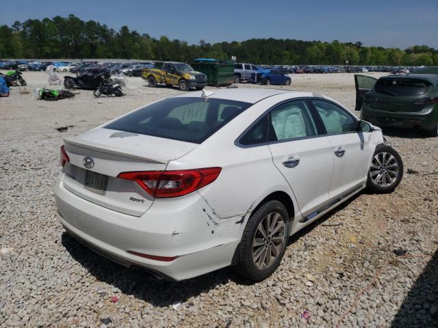2017 HYUNDAI SONATA SPO 5NPE34AF7HH455014