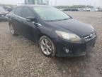 2013 FORD  FOCUS