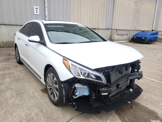 2017 HYUNDAI SONATA SPO 5NPE34AF7HH552147