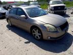 2004 NISSAN  MAXIMA