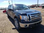 2009 FORD  F-150