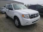 2008 FORD  ESCAPE