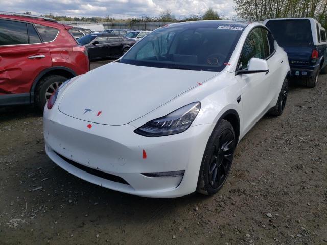 2021 TESLA MODEL Y 5YJYGDEEXMF095572