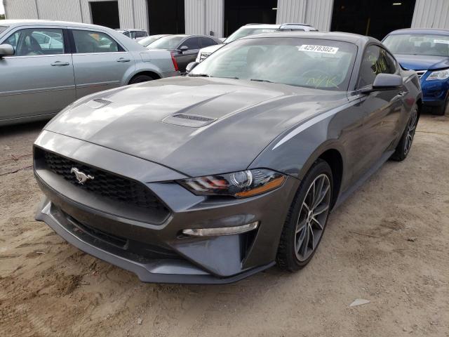 2019 FORD MUSTANG 1FA6P8TH0K5178086