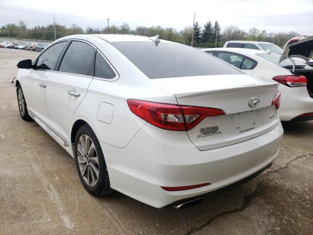 2017 HYUNDAI SONATA SPO 5NPE34AF7HH552147