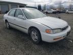 1996 HONDA  ACCORD