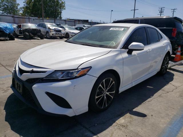 2019 TOYOTA CAMRY L 4T1B11HKXKU203440