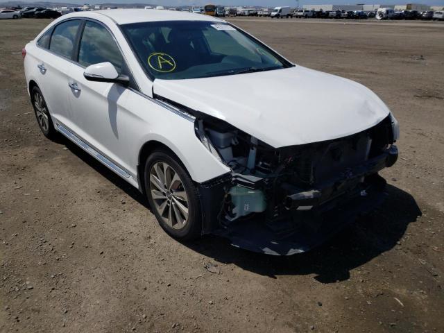 2016 HYUNDAI SONATA SPO 5NPE34AF8GH400747