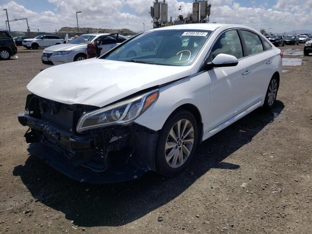 2016 HYUNDAI SONATA SPO 5NPE34AF8GH400747