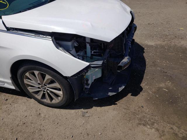 2016 HYUNDAI SONATA SPO 5NPE34AF8GH400747