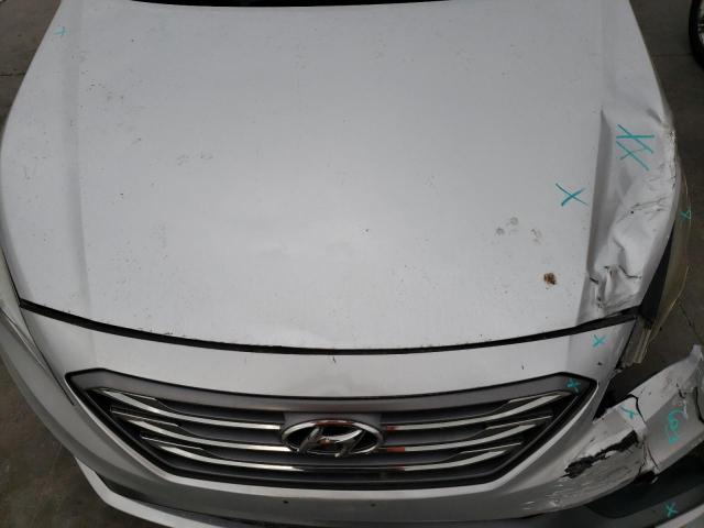 2016 HYUNDAI SONATA SPO 5NPE34AF0GH405389