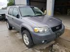 2007 FORD  ESCAPE