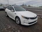 2016 KIA  OPTIMA