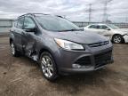 2013 FORD  ESCAPE