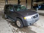 2006 FORD  ESCAPE