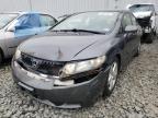 HONDA CIVIC LX-S photo