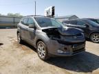 2013 FORD  ESCAPE