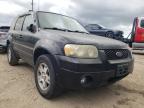 2005 FORD  ESCAPE