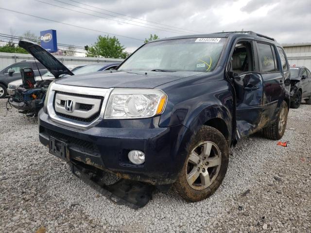 5FNYF4H57AB039440 Honda Pilot Exl 2010. Фото: 1