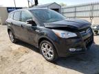 2013 FORD  ESCAPE