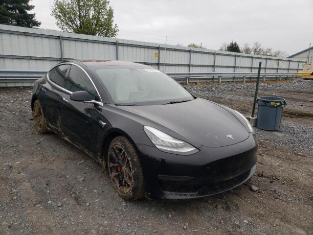 2019 TESLA MODEL 3 5YJ3E1EB0KF231645