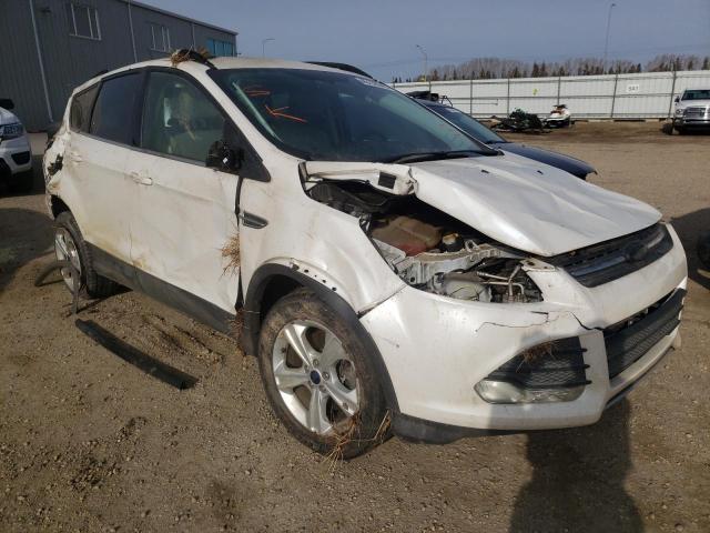 2016 FORD ESCAPE SE 1FMCU9G94GUA47279