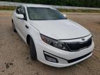 2015 KIA  OPTIMA