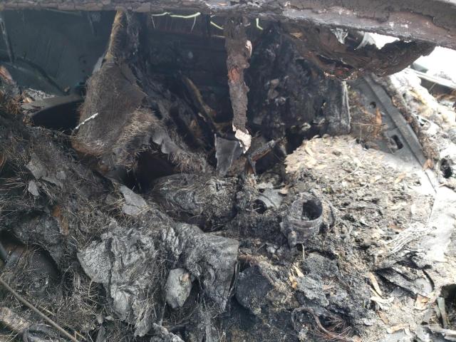 2017 FORD MUSTANG GT 1FA6P8CFXH5240360