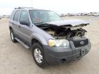 2007 FORD  ESCAPE