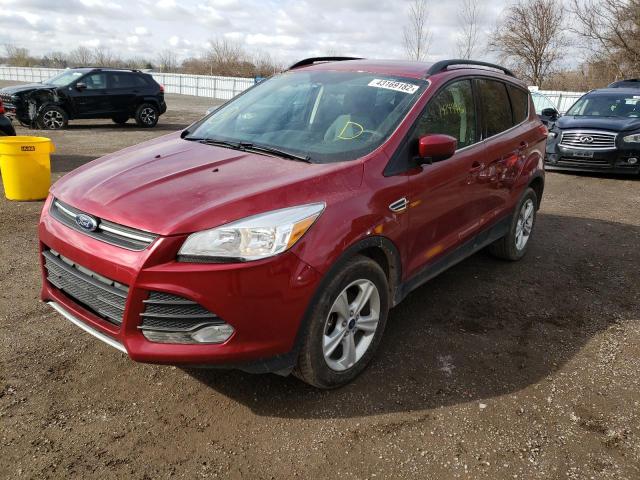 2016 FORD ESCAPE SE 1FMCU0GX1GUC69398