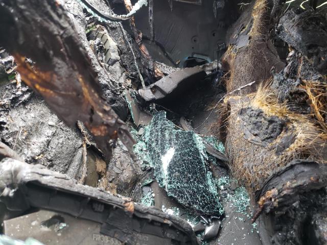 2017 FORD MUSTANG GT 1FA6P8CFXH5240360