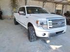 2013 FORD  F-150