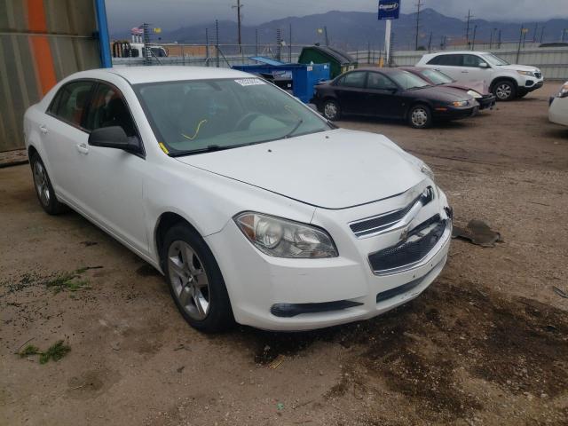 2010 CHEVROLET MALIBU LS - 1G1ZA5EB3AF282458