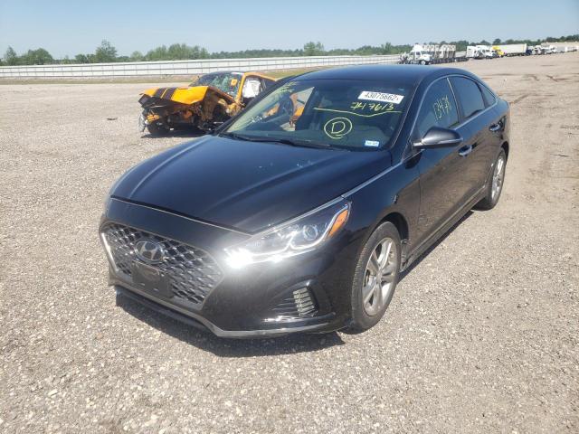 2019 HYUNDAI SONATA LIM 5NPE34AF0KH747613