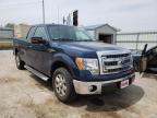 2013 FORD  F-150