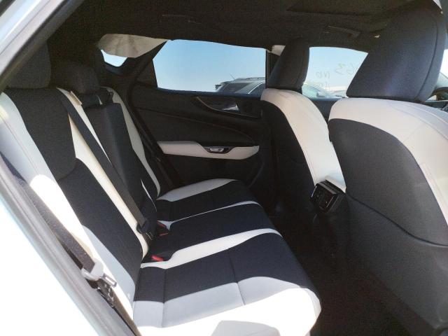 2022 LEXUS NX JTJGKCEZ3N2000830