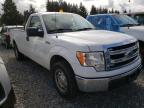 2013 FORD  F150