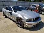 2005 FORD  MUSTANG