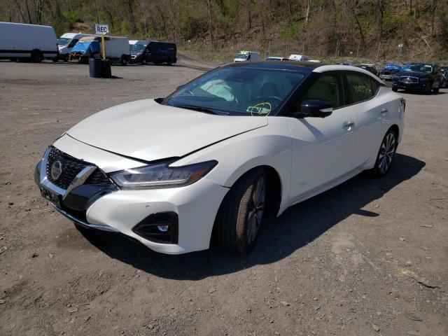 2021 NISSAN MAXIMA PLA 1N4AA6FVXMC509997