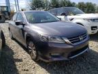 2013 HONDA  ACCORD