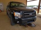 2013 FORD  F150