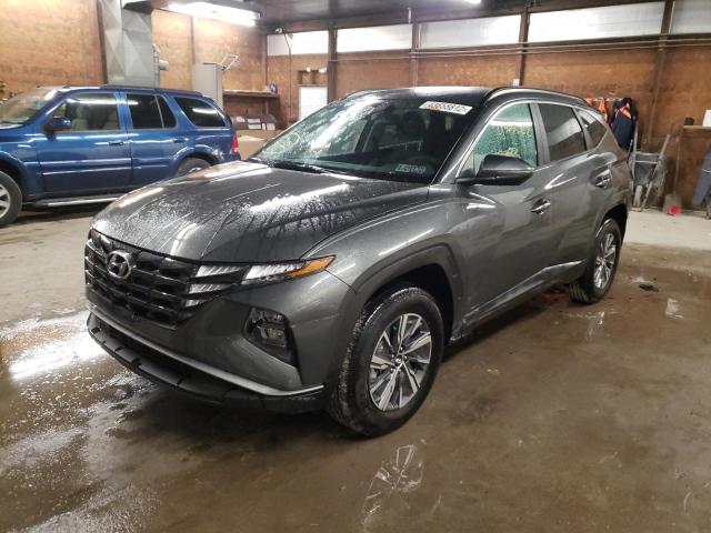 2022 HYUNDAI TUCSON BLU KM8JBCA14NU040908