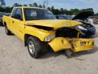 DODGE RAM 1500 1999 foto