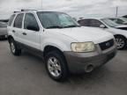 2006 FORD  ESCAPE