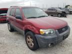 2007 FORD  ESCAPE